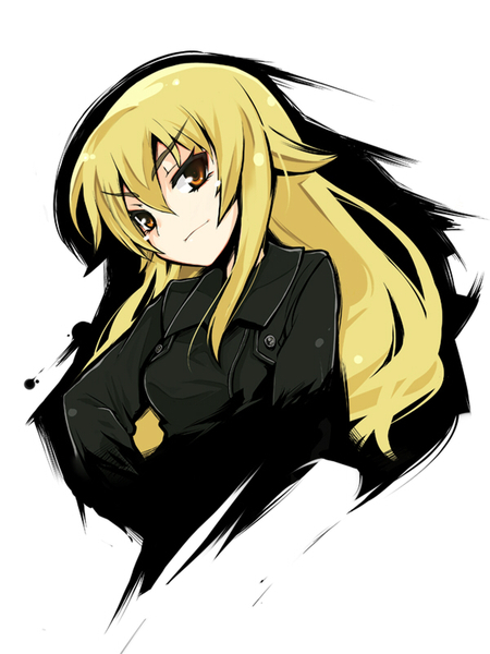 足利茶茶丸药学