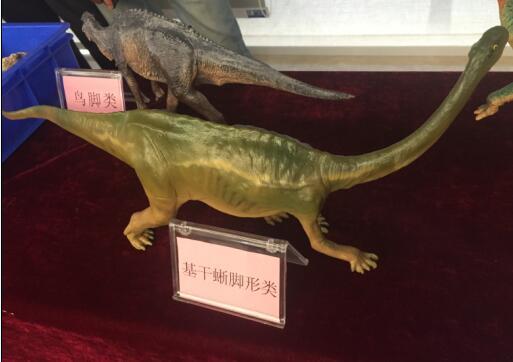 蜥脚形类(动物)蜥脚形类是蜥臀类恐龙中的又一大类,与兽脚形恐龙不同