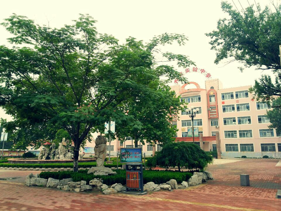 齐河实验中学 (学校)