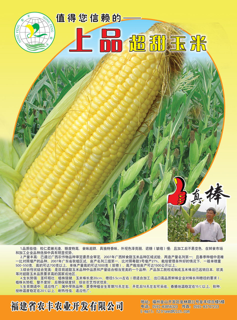 上品超甜玉米(公司)上品超甜玉米是福建农丰农业开发有限公司选育的