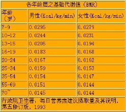 基礎代謝(自然人類學)基礎代謝(basal metabolism,bm)是指人體維持