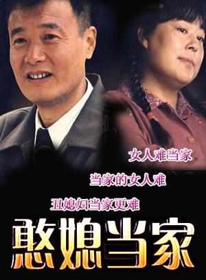 张晓春导演的电视剧图片