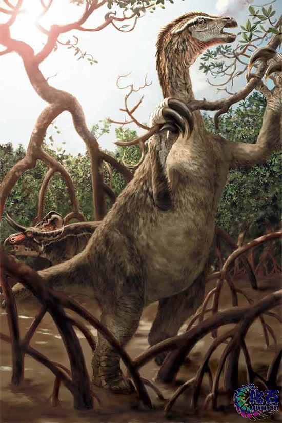 伪君龙(动物)懒爪龙(属名:nothronychus)又名伪君龙,是种镰刀龙类恐龙