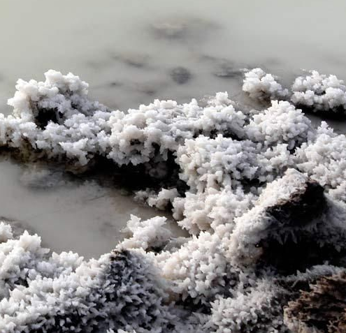 盐卤(其他饮食相关)