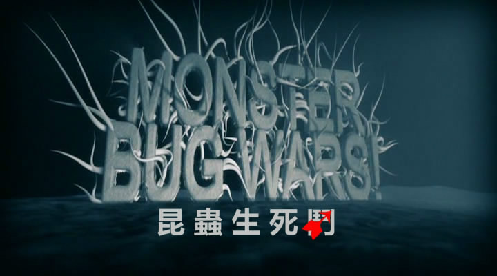 昆虫生死斗 (动物)