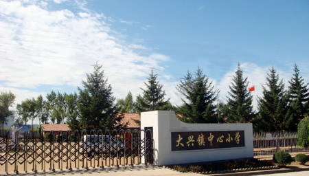 大兴镇中心小学(学校)