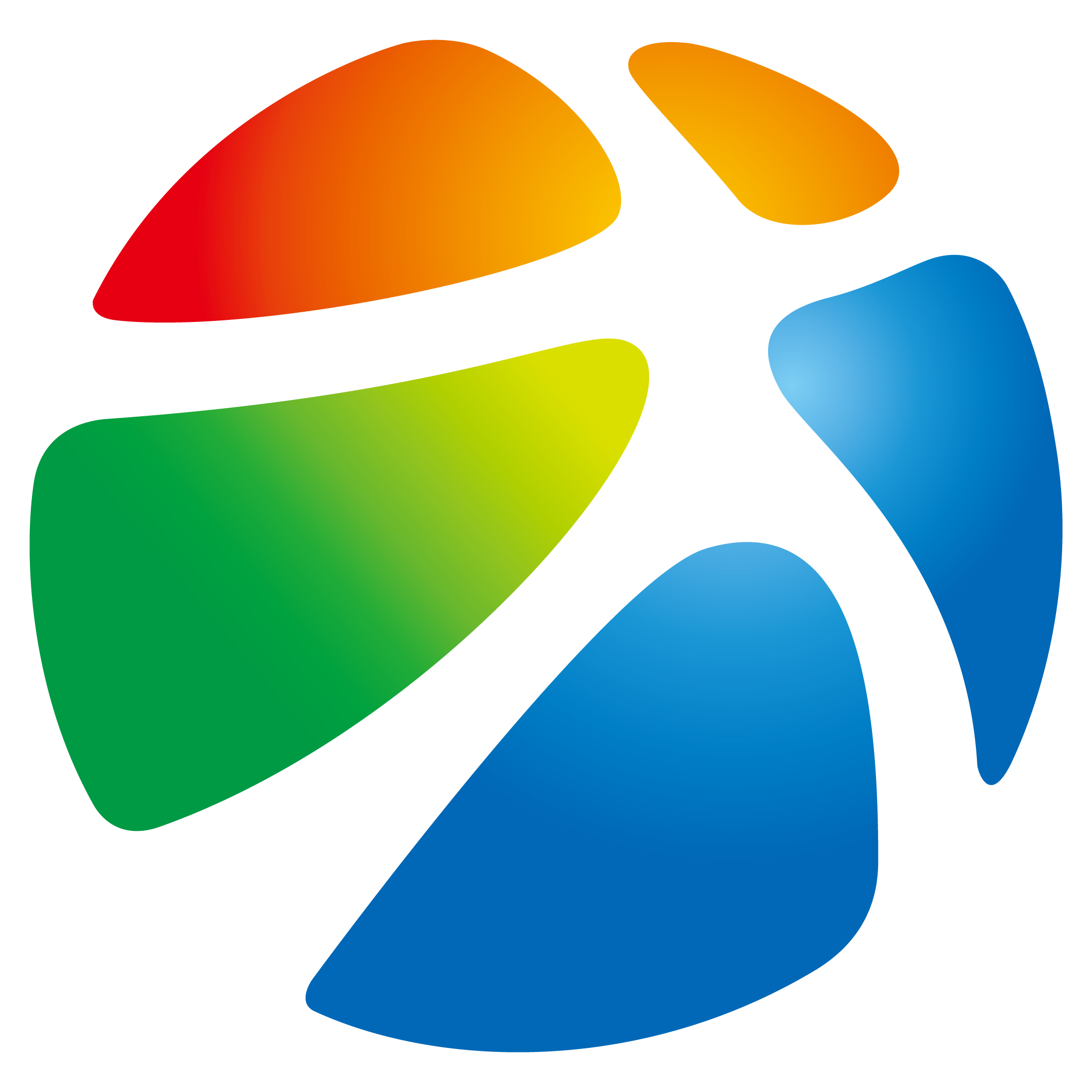 大桥石化集团 (公司)