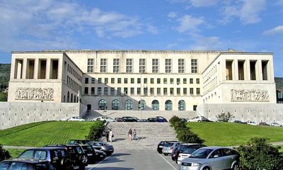 的里雅斯特大学(学校)