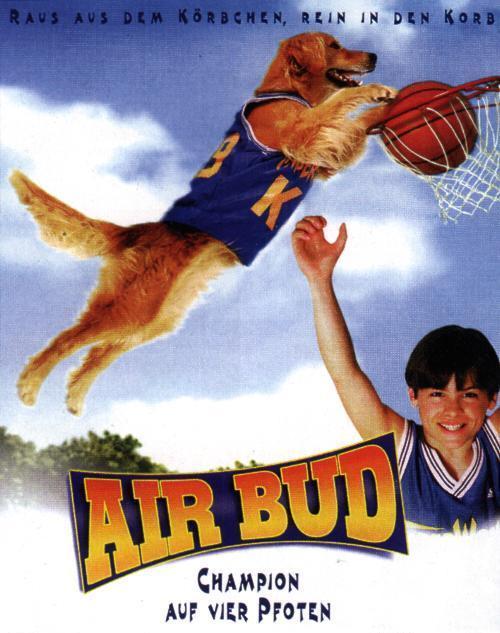 飞狗巴迪 (学校)