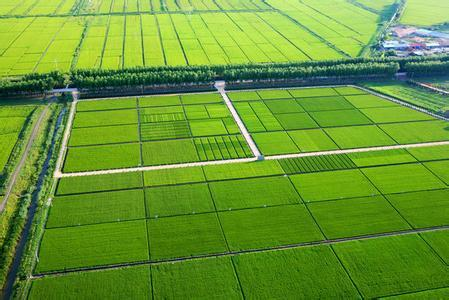 农田小气候(植物)