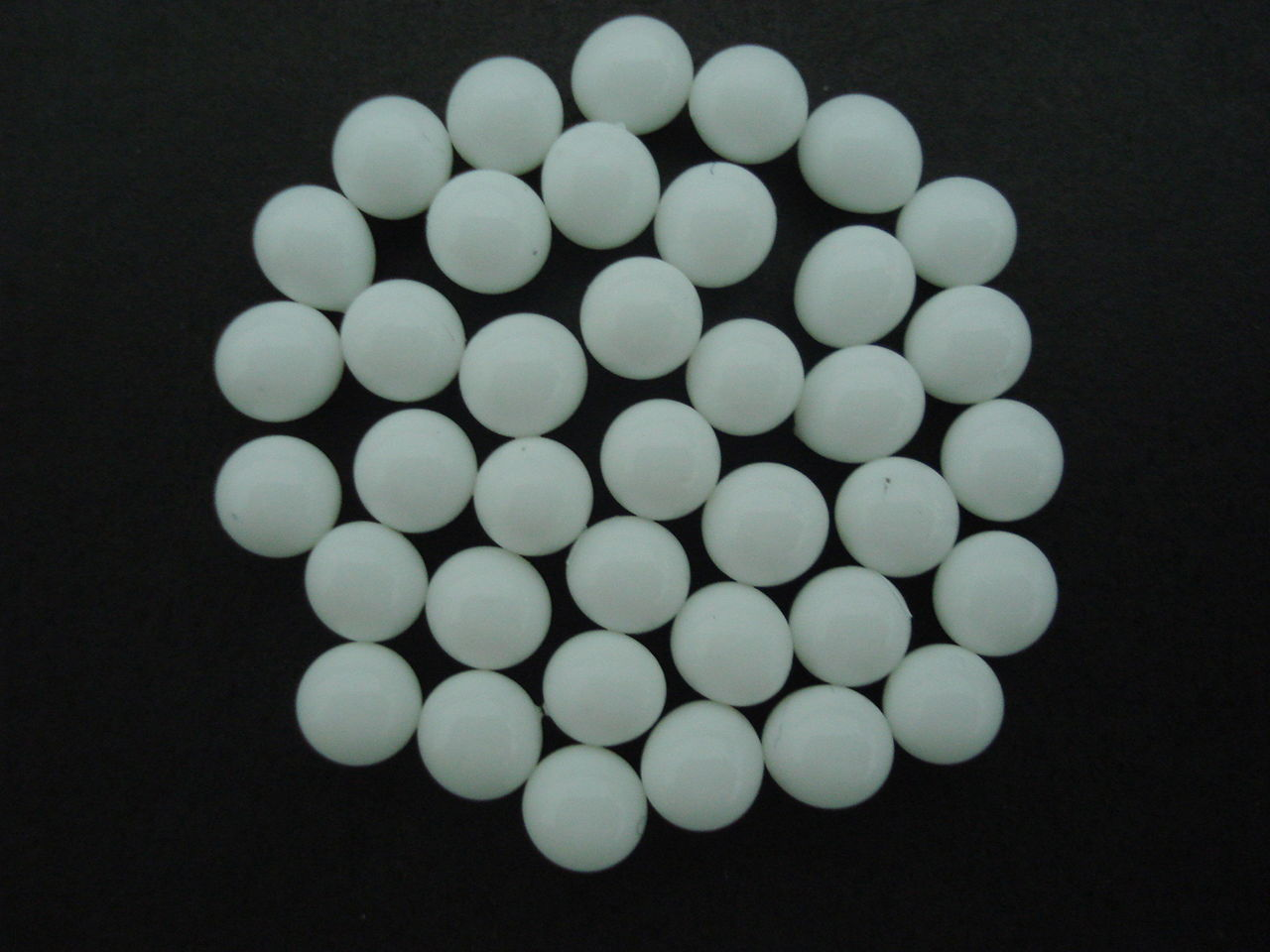 固定化(其他生物相关)