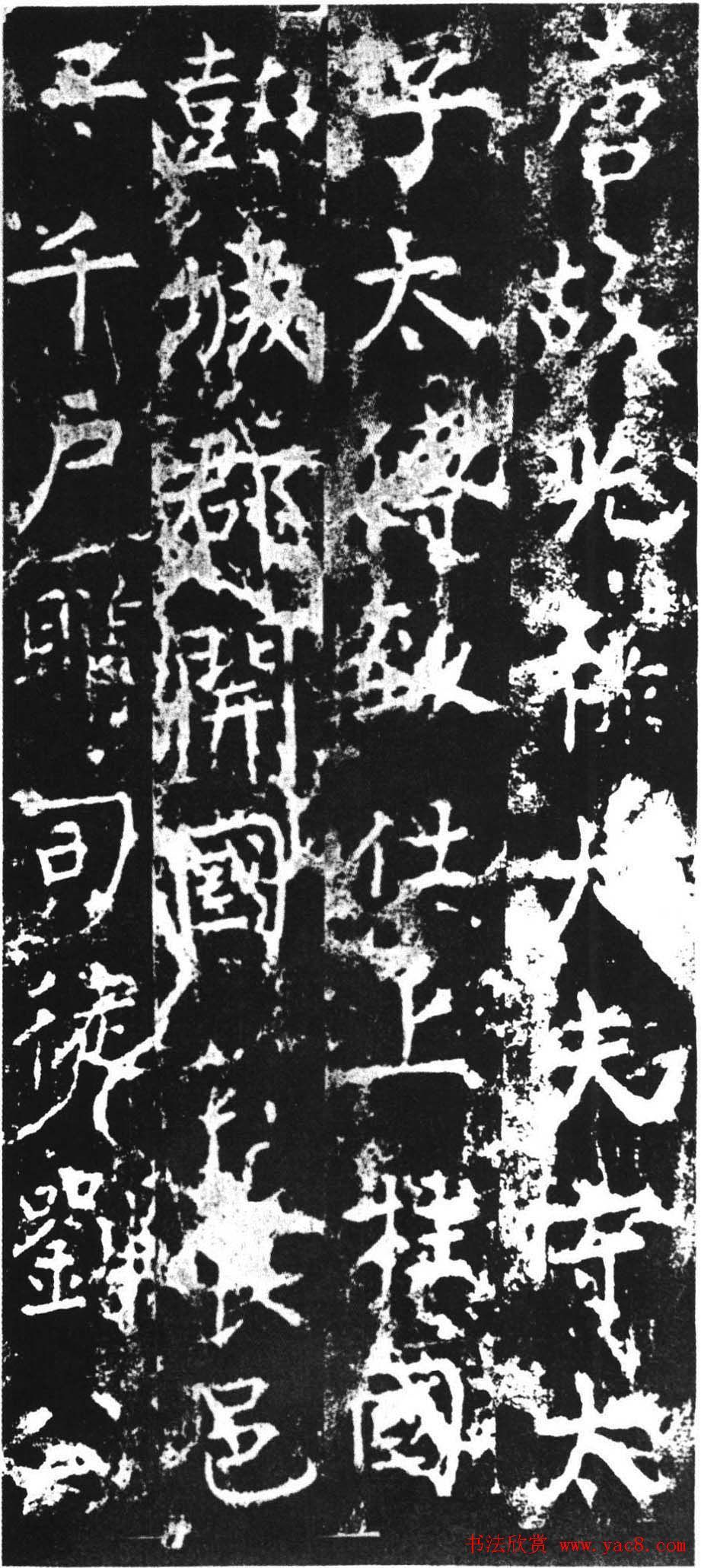 少孤,振武节度使范希朝署牙将.