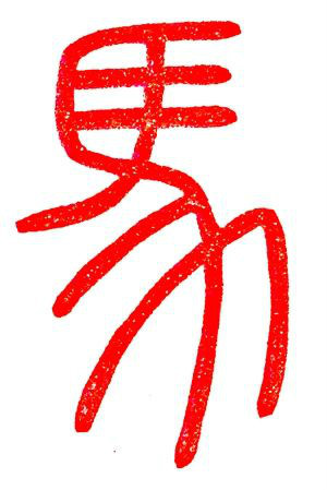 马(汉字)象形:早期金文字形,象马眼,马鬃,马尾之形