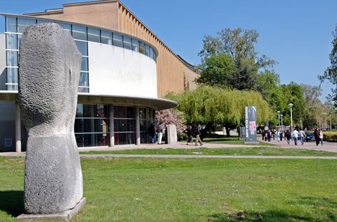 法国梅斯大学 (学校)