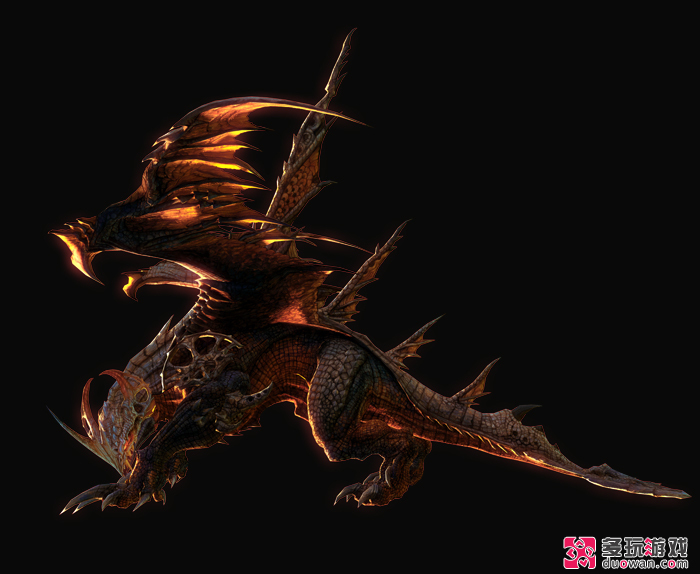 荒漠龙其他生物相关