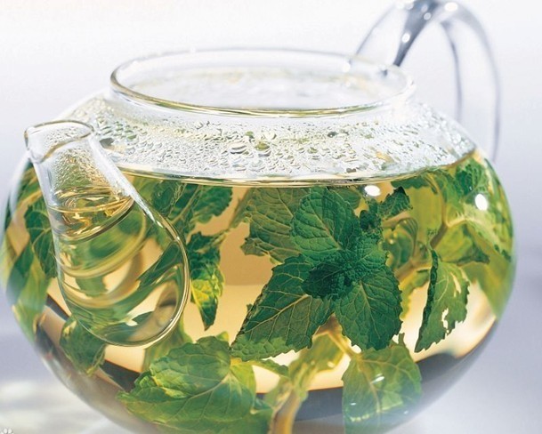 荆芥茶(医药|中医学与中药学)