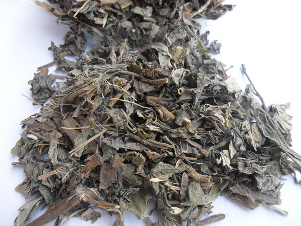 北败酱(植物)_技点百科