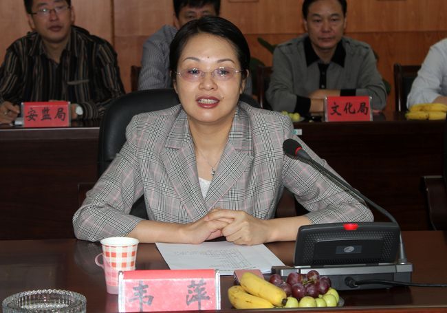 韦萍 (政治人物)