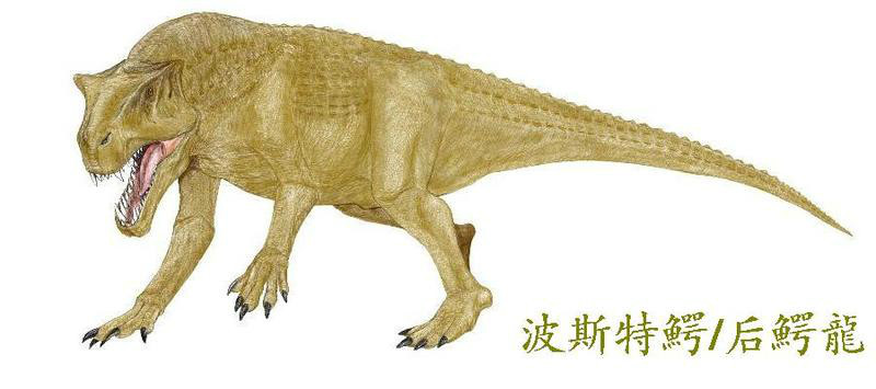 后鳄龙 (postosuchus) 图中食肉动物为后鳄龙 生