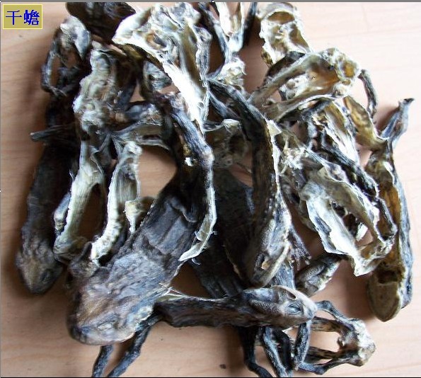 干蟾中医学与中药学