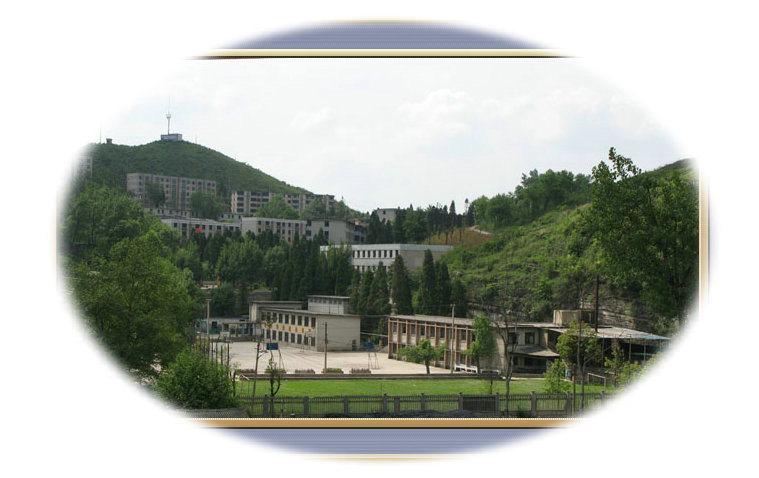 贵阳修文华驿中学(学校)