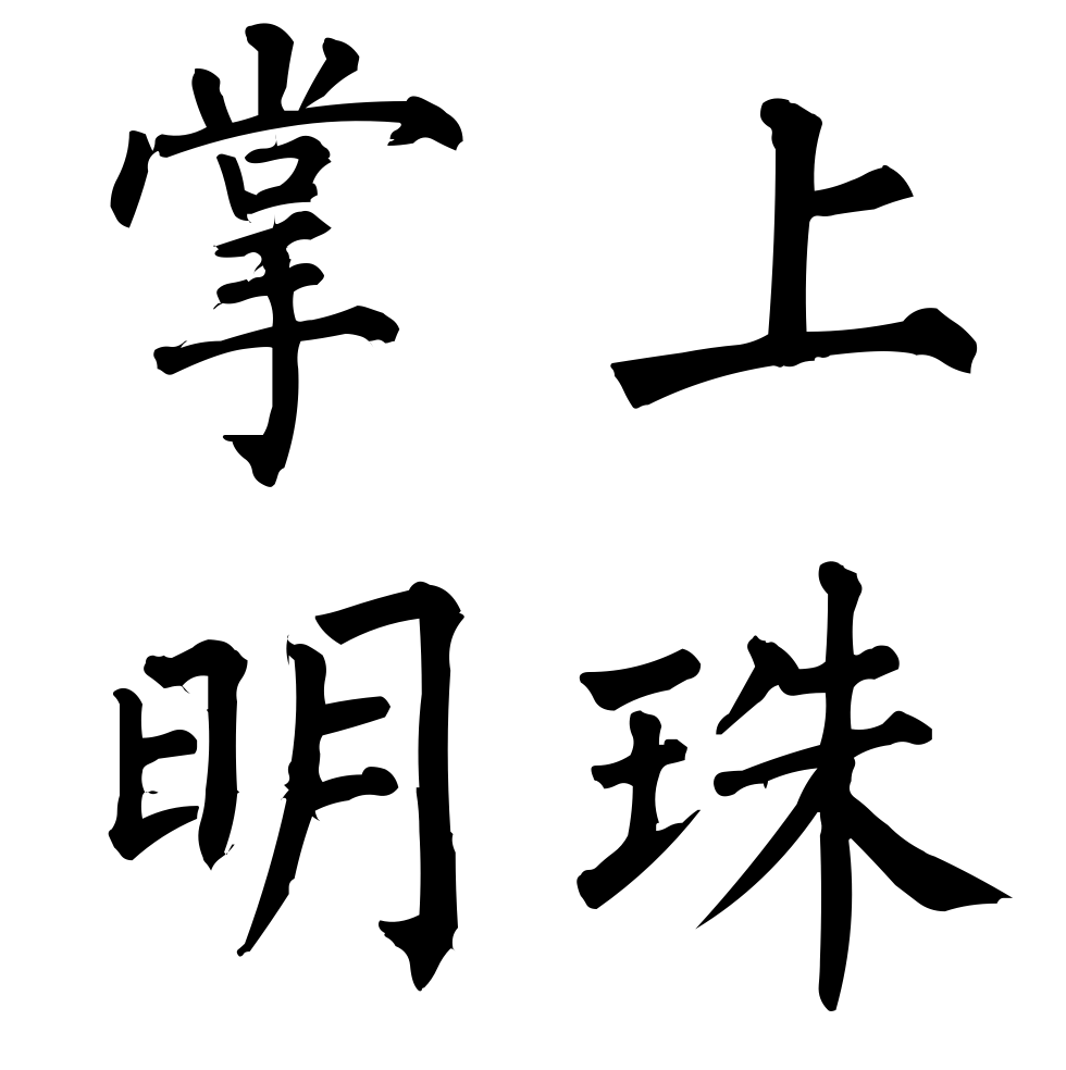 掌上明珠 (成语)