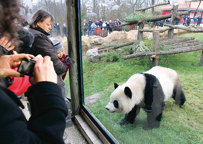 欢欢(其他人物相关)欢欢雌性大熊猫"欢欢"(谱系号:723)出生年月于2008