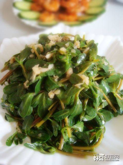 涼拌馬齒莧黃花(食譜)