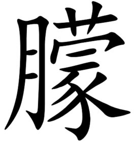 朦 (汉字|词汇)