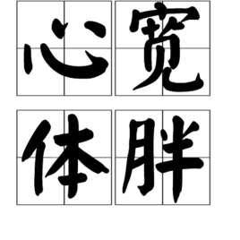 心宽体胖词汇