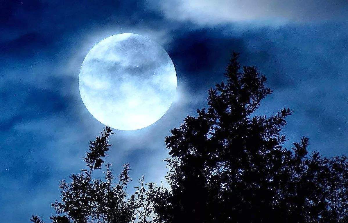 视频︱月未落，日已出，月亮与太阳上演冬季童话_四川在线