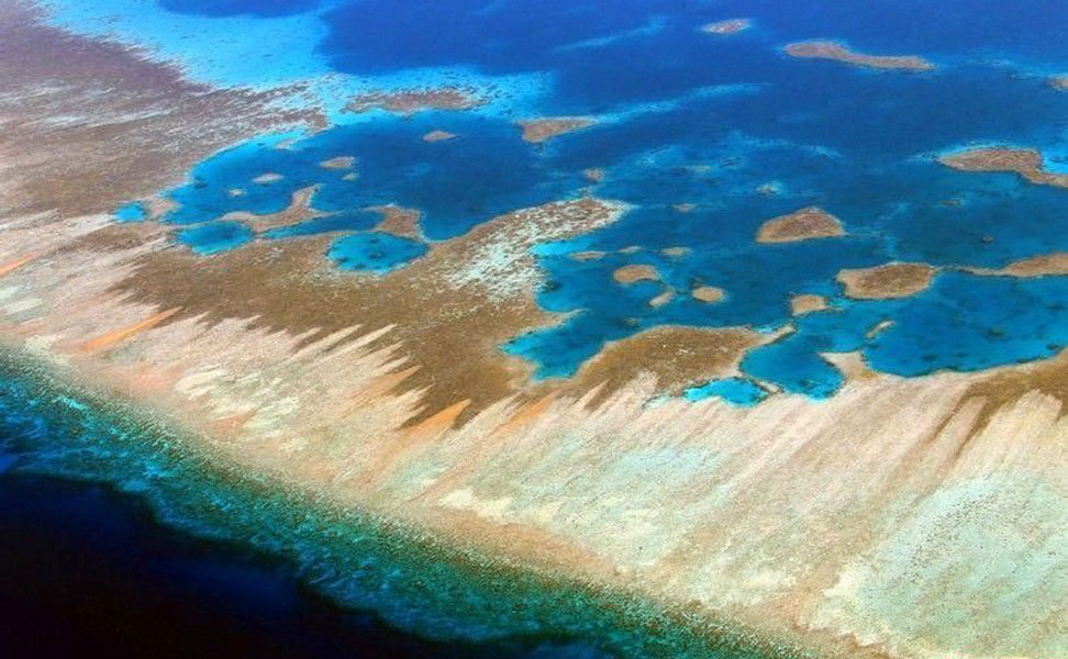 礁盘(其他生物相关)