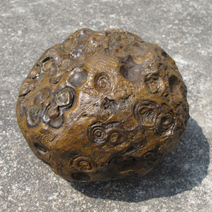 石页岩(非生物)