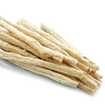 南北沙参(植物)