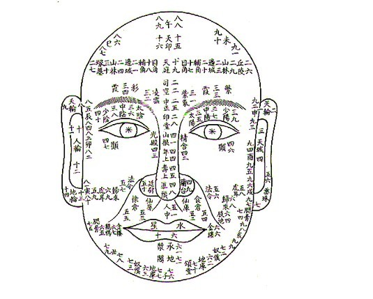 十二宫位 (自然人类学)