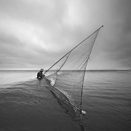 海人(其他人物相关)