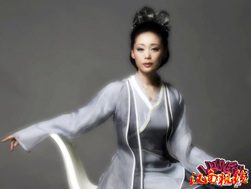 赵雪华 (文化人物)