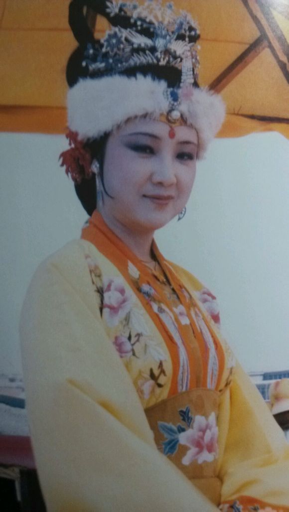 南安太妃 (文学人物)