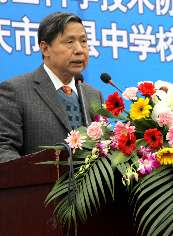 孙才新(文化人物)