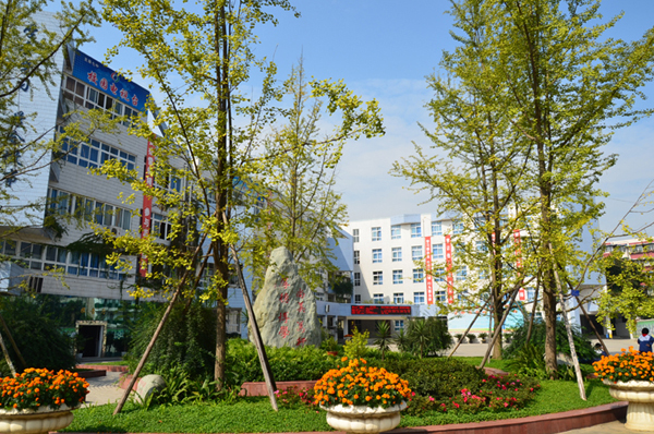 龙泉七中(学校)_技点知识_技点网