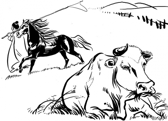 牛头不对马嘴(词汇)