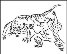 暴虎冯河 (词汇|成语)