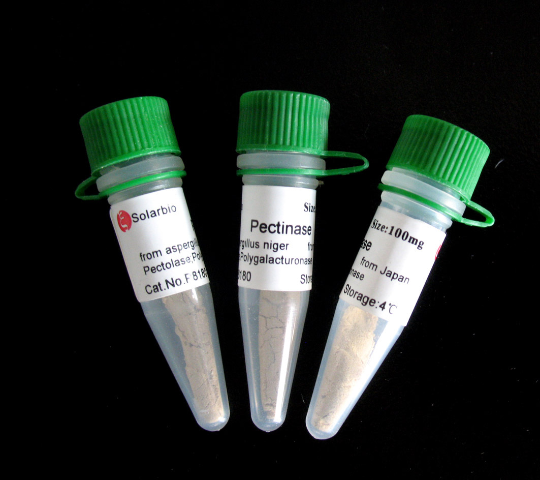 蒽酮 (凝聚态物理学)