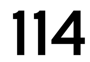 114(其他)