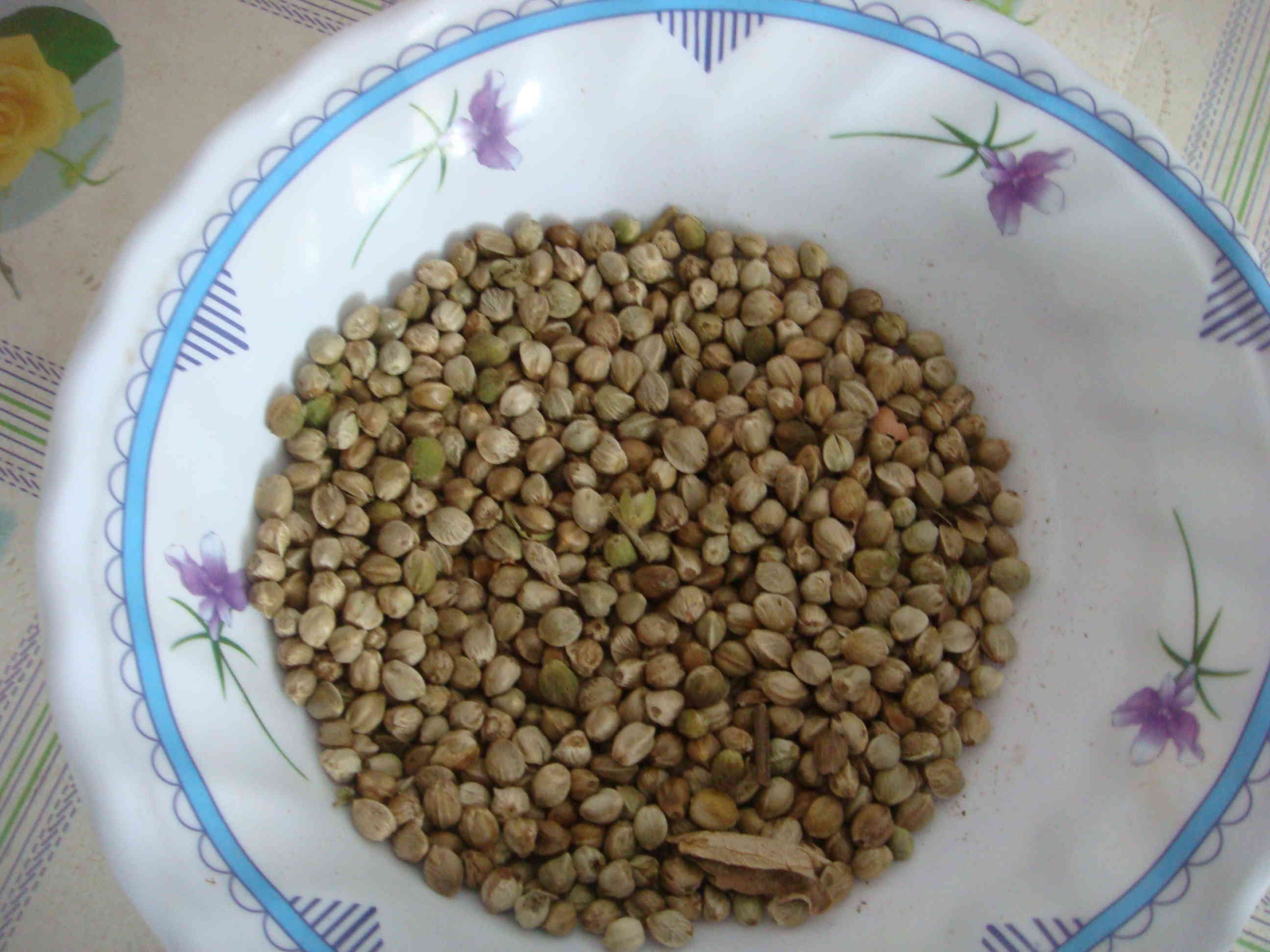 黄金亚麻籽新籽500g纯生亚麻子亚麻仁内蒙古特产非即食熟胡麻子-阿里巴巴