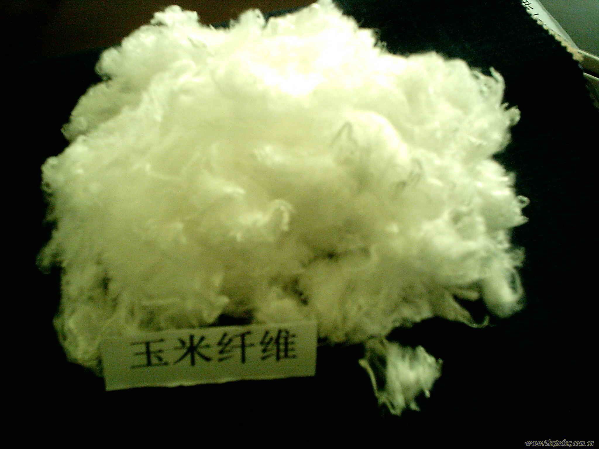 纤维原料植物 (植物)