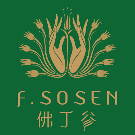 佛手参护手霜 (公司)