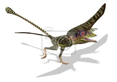 蓓天翼龙(其他生物相关)蓓天翼龙(属名:peteinosaurus),又名翅龙,是种