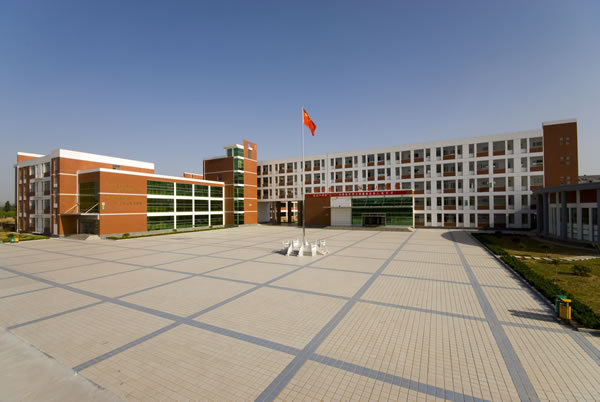 肥城龙山小学(学校)