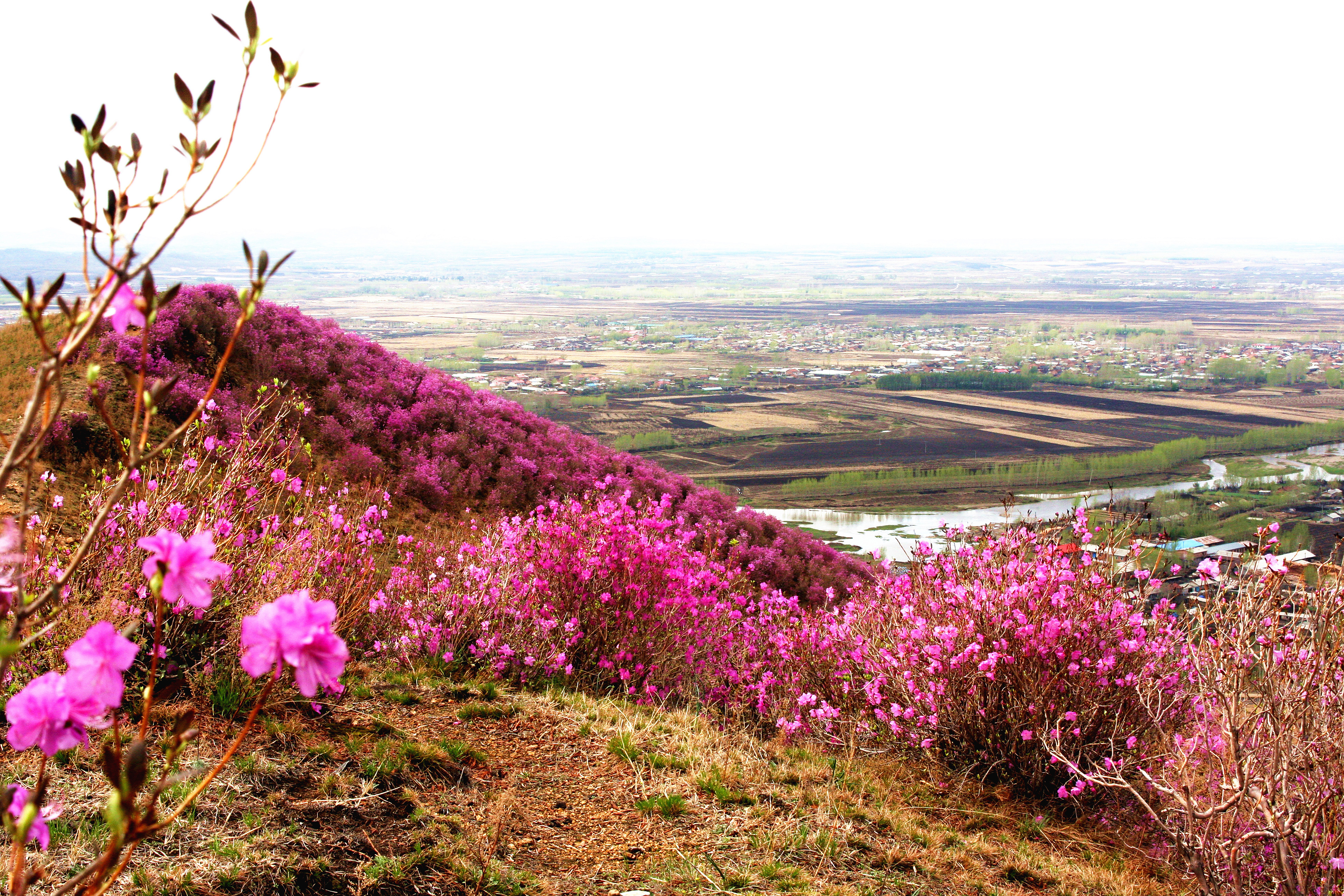 桃山其他企业相关
